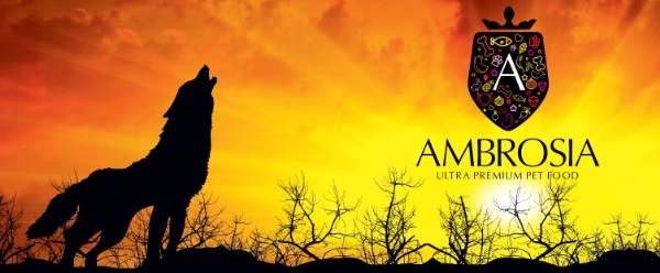אמברוסיה לכלב