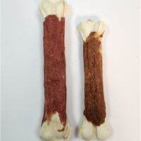 עצם לחוצה מצופה ברווז ענקית